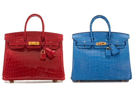 hermes alligator vs crocodile